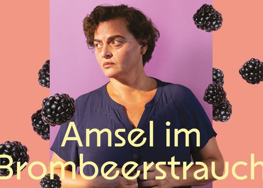 filmmatinee+amsel+im+brombeerstrauch